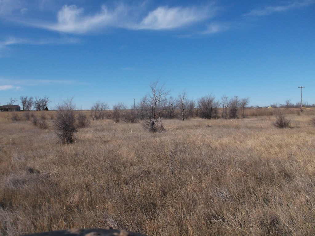 #KS-431 Meade County, Kansas - Hunting Country Real Estate LLC