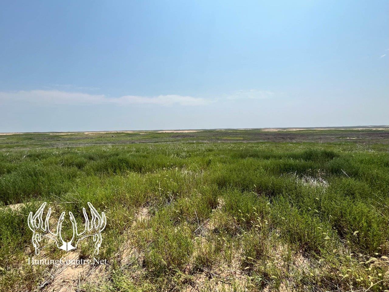 #KS-703 Kearny County, Kansas 160 Acres M/L